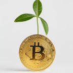 ramo de planta saindo da moeda de bitcoin